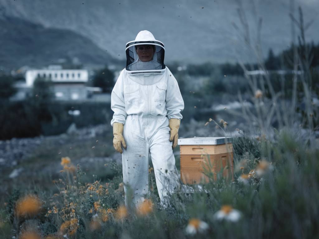 L’apiculture en altitude : les abeilles des montagnes, un pilier de l’écosystème rural